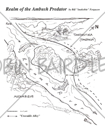 Ferguson Map Illustration