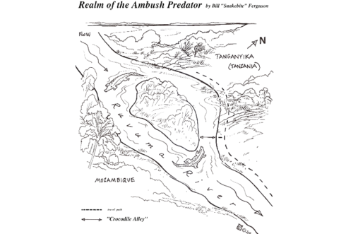 Ferguson Map Illustration