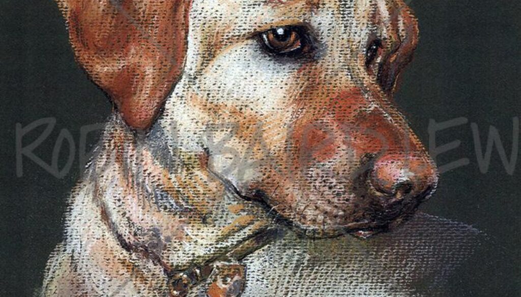 Duchess the Dog Painting