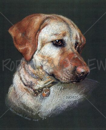 Duchess the Dog Painting