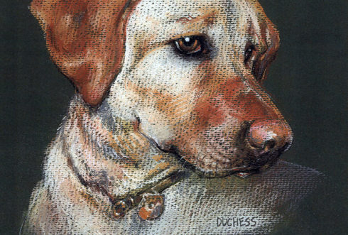 Duchess the Dog Painting
