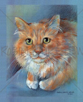 Orange Cat - Pet Illustration